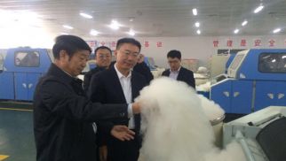 集團(tuán)董事長肖厚忠赴寧夏銀川考察項(xiàng)目