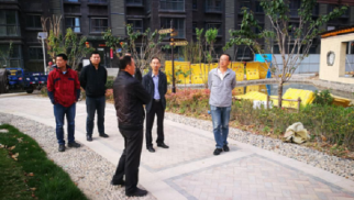 集團總裁張睿調(diào)研鳳祥銘居項目建設情況