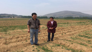 南京農(nóng)業(yè)大學教授深入中景農(nóng)科公司丹參種植基地調(diào)研指導